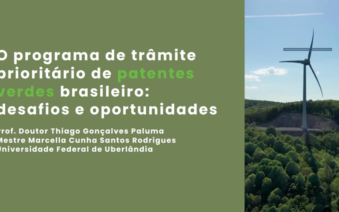 Thiago Paluma e Marcela Rodrigues analisam o tramite das patentes verdes no Brasil.